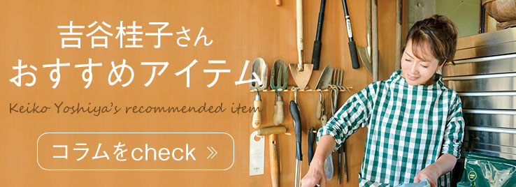 �g�J�j�q���񂨂����߃A�C�e�� �R������check