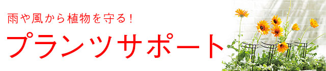 �J�╗����A�������I�v�����c�T�|�[�g