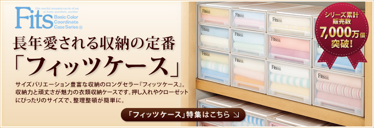 ���N���������[�̒�ԁu�t�B�b�c�P�[�X�v