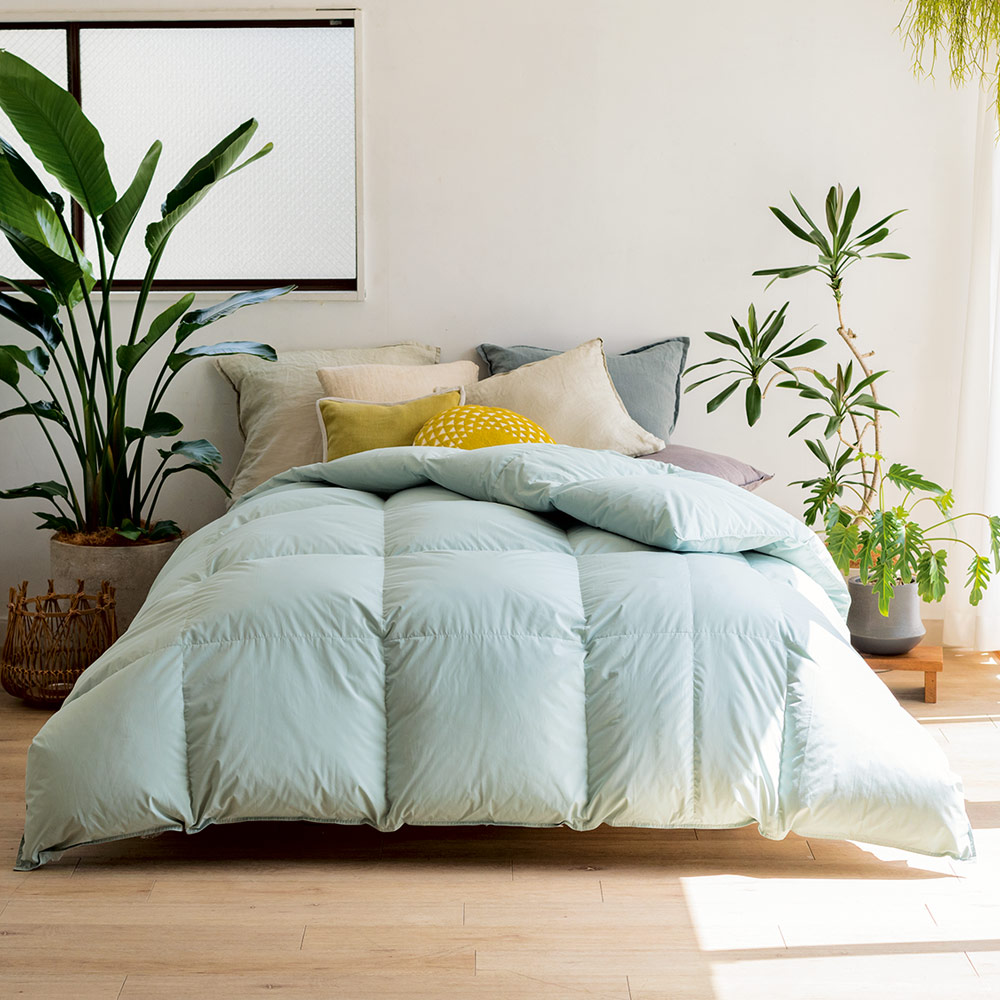 ���T�C�N���H�ѕz�c