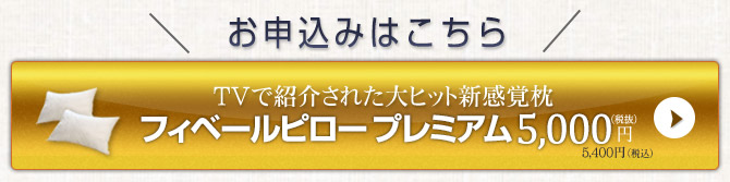 ���\���݂͂�����&rarr; �t�B�x�[���s���[ �v���~�A��5,000�~�i�Ŕ��j5,400�~�i�ō��j 