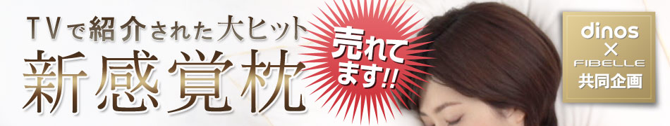 TV�ŏЉ�ꂽ��q�b�g�V���o���@�t�B�x�[���s���[ �v���~�A��