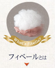 �t�B�x�[���Ƃ� 