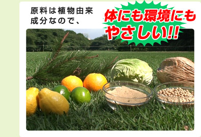 �����͐A���R�������Ȃ̂ŁA�̂ɂ����ɂ��₳����(�����̎ア���͎�܂����g�p���������B)