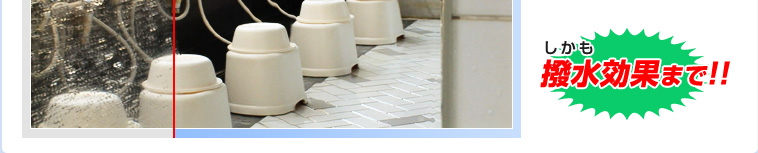 �������������ʂ܂�!!